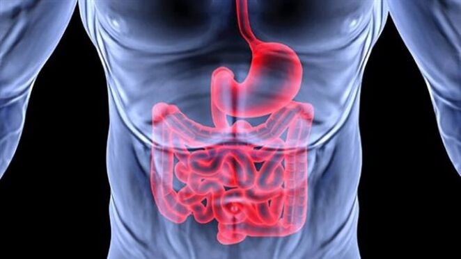 Maladies du tractus gastro-intestinal