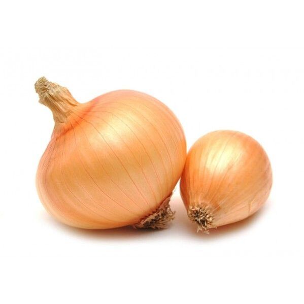 Oignon