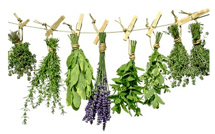 Plantes avec parasites